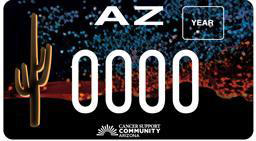 Standard license plates issued to passenger vehicles, motorcycles, and trailers: