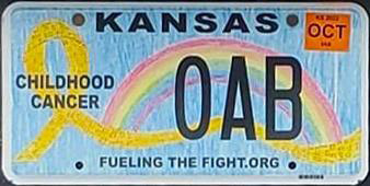 Standard license plates are issued to passenger cars, 1/2-ton and 3/4-ton trucks, and 1-ton trucks used for private transportation: