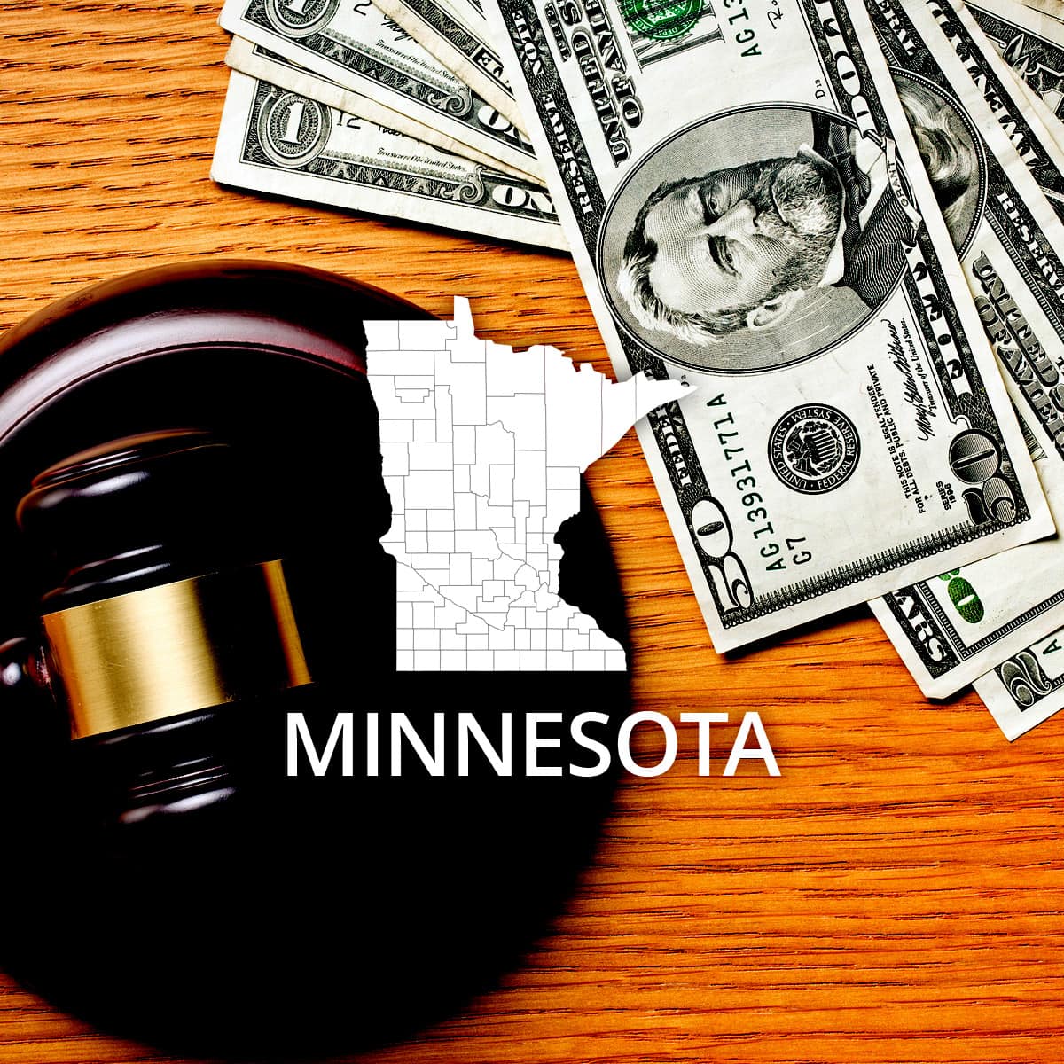 How to File Bankruptcy in Minnesota