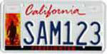 Special license, special interest license, and decal plates: