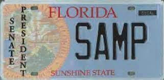 Standard license plates: