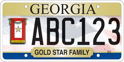 Standard Motorcycle License Plate: