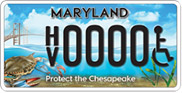 Special license, special interest license, and decal plates: