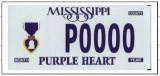 Regular and blackout passenger vehicle license plates (2024 &acirc;&euro;&ldquo; 2029 series):