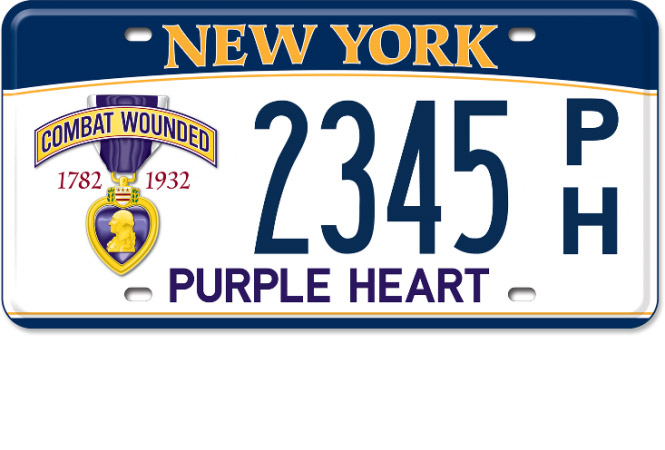 Standard License Plate