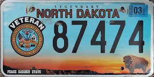 Standard License Plate