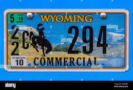 Standard license plates for passenger and commercial vehicles: